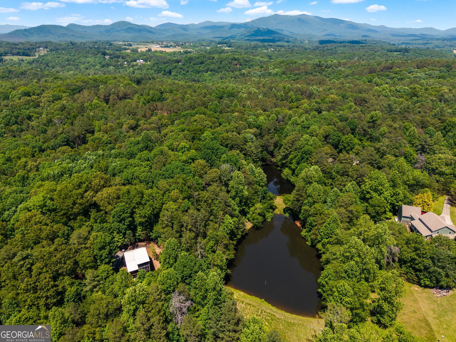 85 Misty Hollow Ridge Ellijay - Photo 61