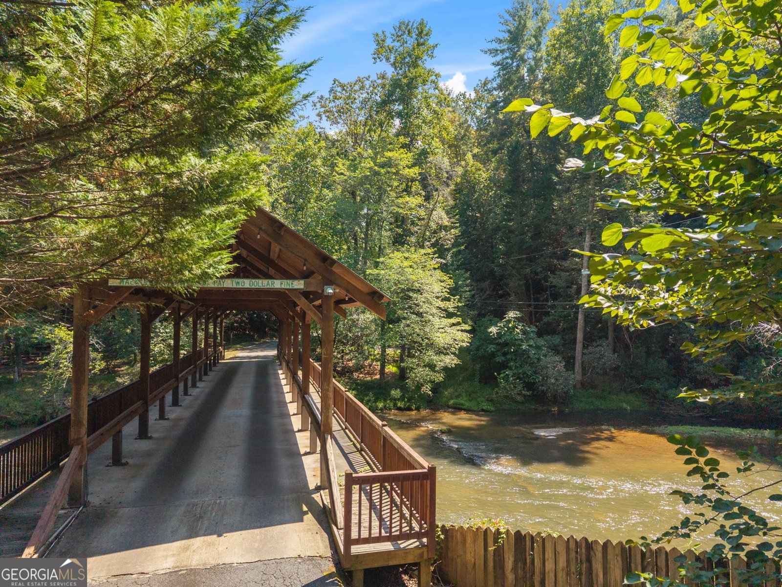 85 Misty Hollow Ridge Ellijay - Photo 66