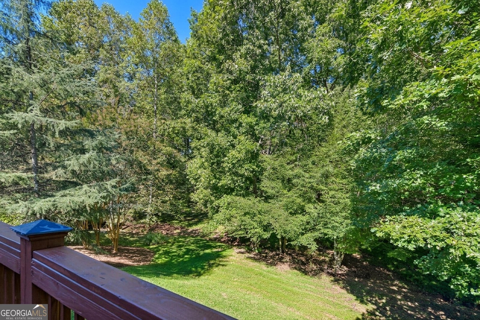 202 Cane Mill Lane Dahlonega - Photo 54