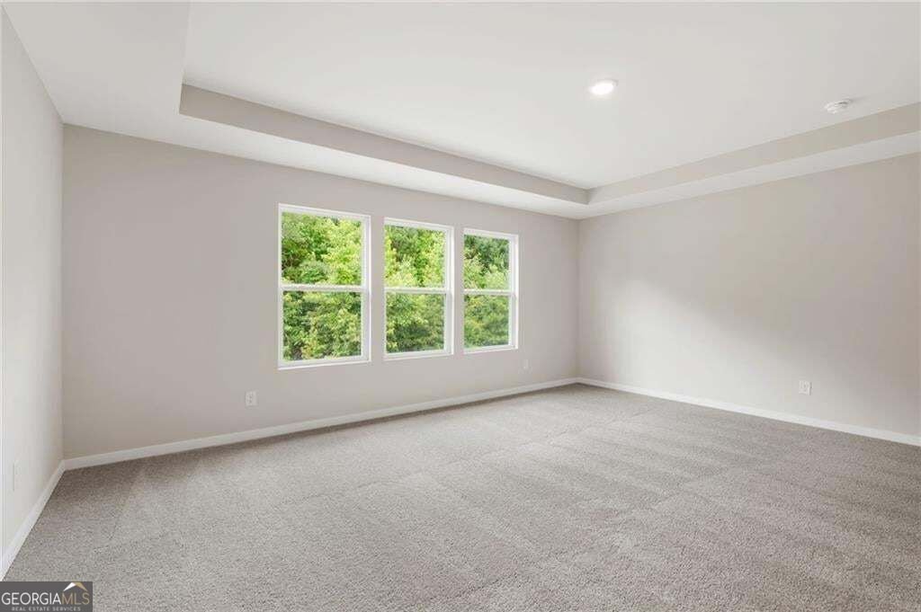 128 Serenade Creek Road McDonough - Photo 14