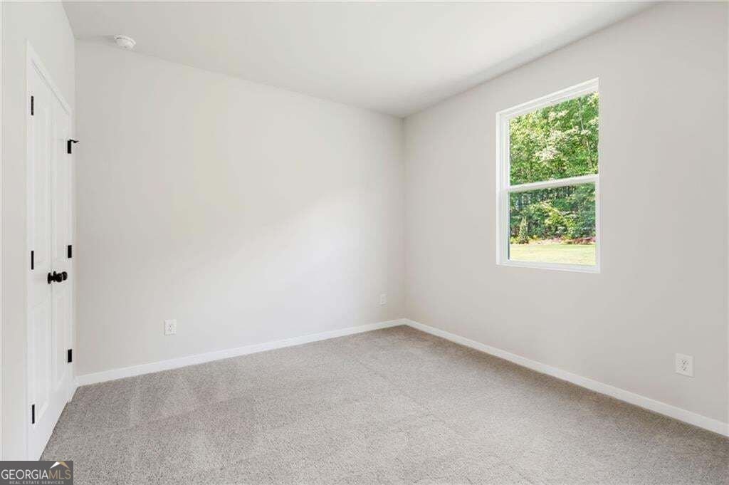 132 Serenade Creek Road McDonough - Photo 16