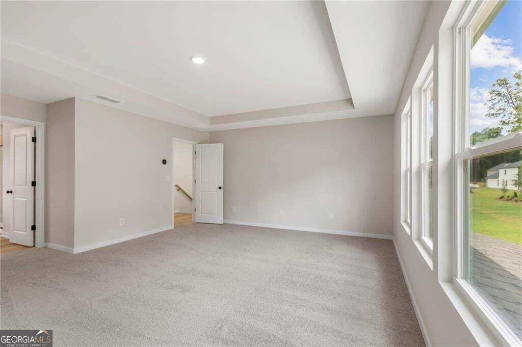 132 Serenade Creek Road McDonough - Photo 21