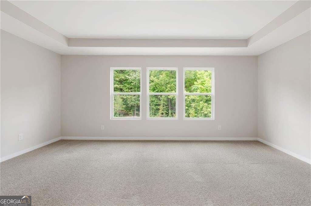 136 Serenade Creek Road McDonough - Photo 12