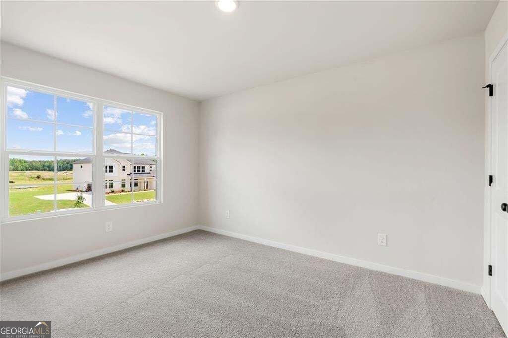 136 Serenade Creek Road McDonough - Photo 19