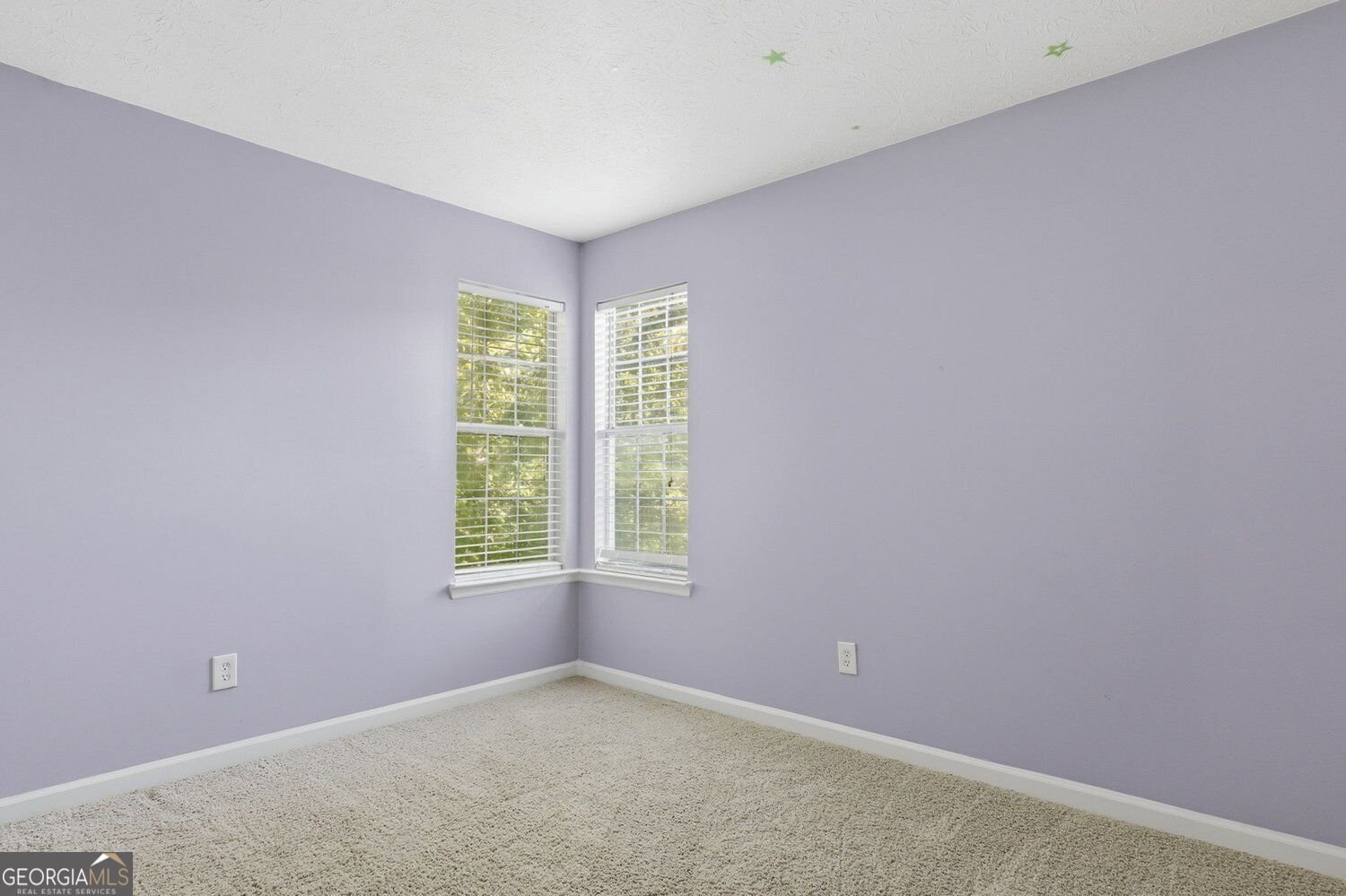 10690 Plantation Bridge Drive Johns Creek - Photo 25