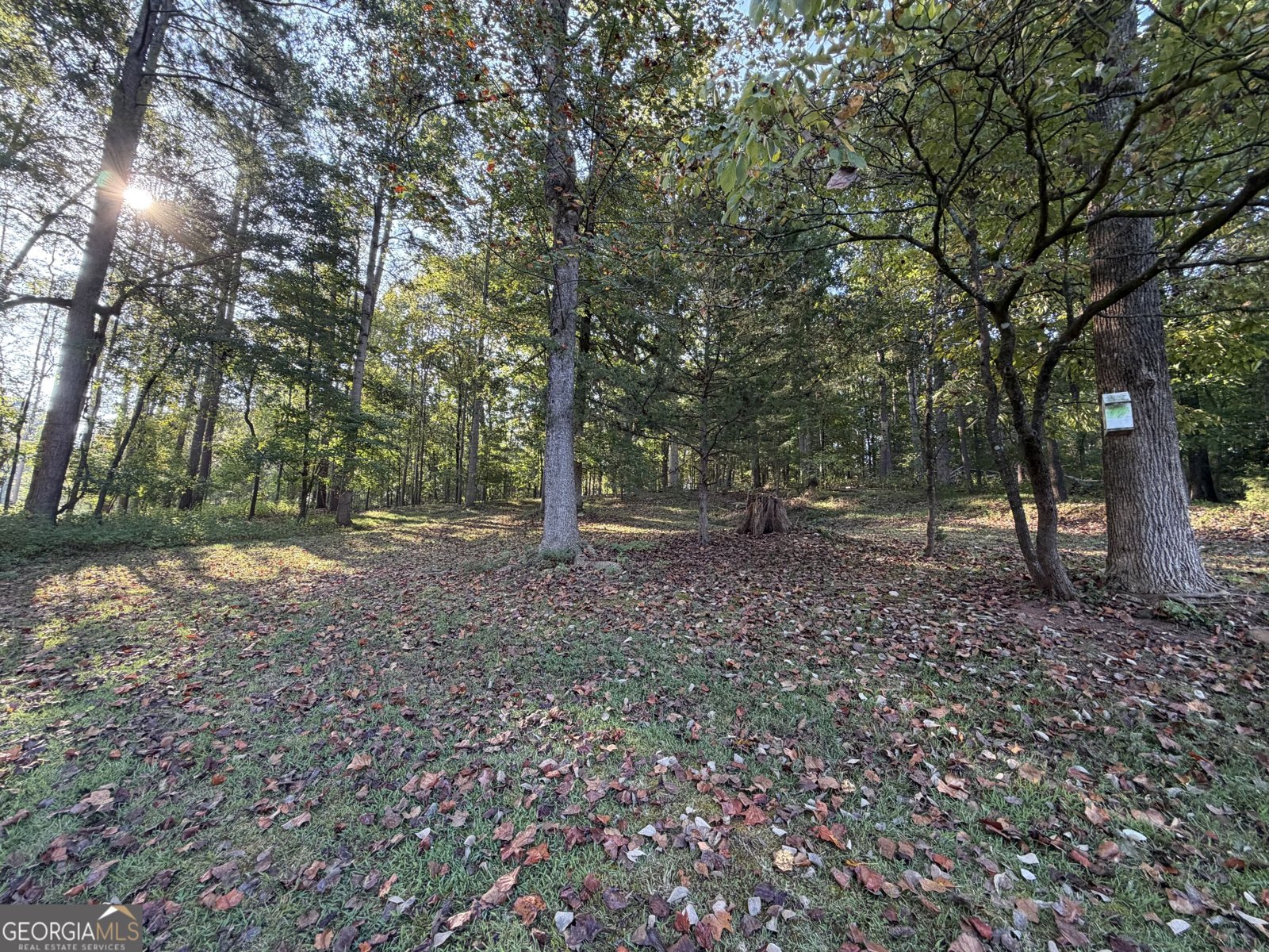 206 Benifield Drive Lavonia - Photo 20