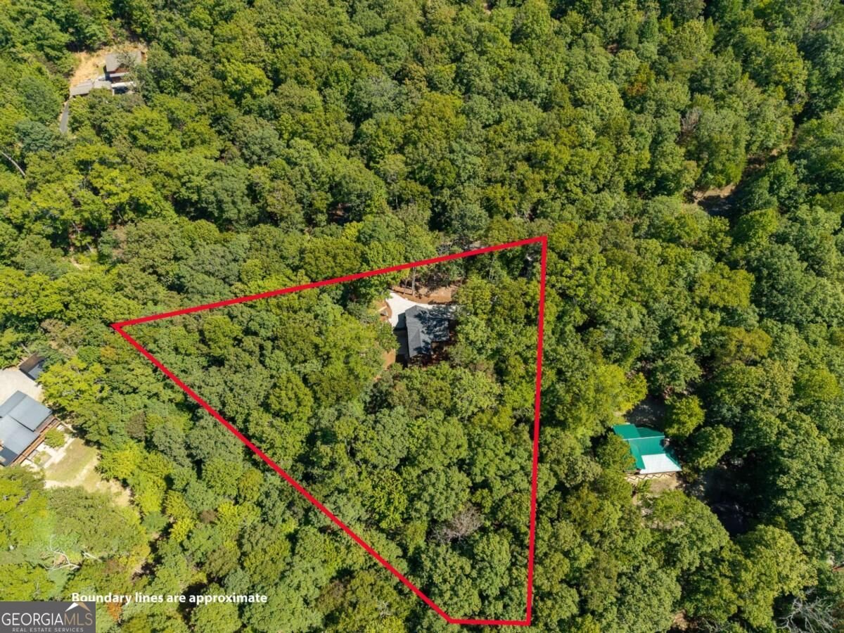 288 Hoot Owl Hill Morganton - Photo 53