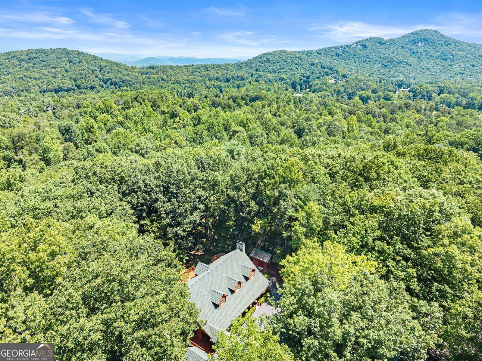 257 Interlochen Court Sautee Nacoochee - Photo 49