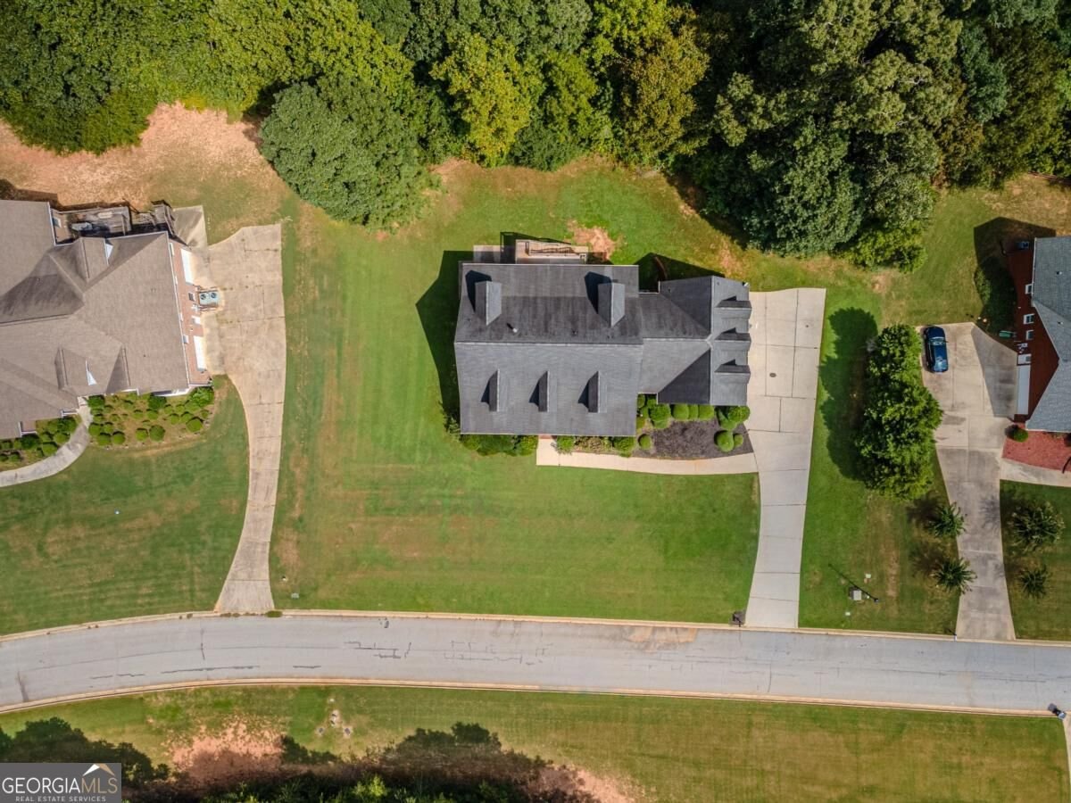 149 Robson Trail Mcdonough - Photo 58