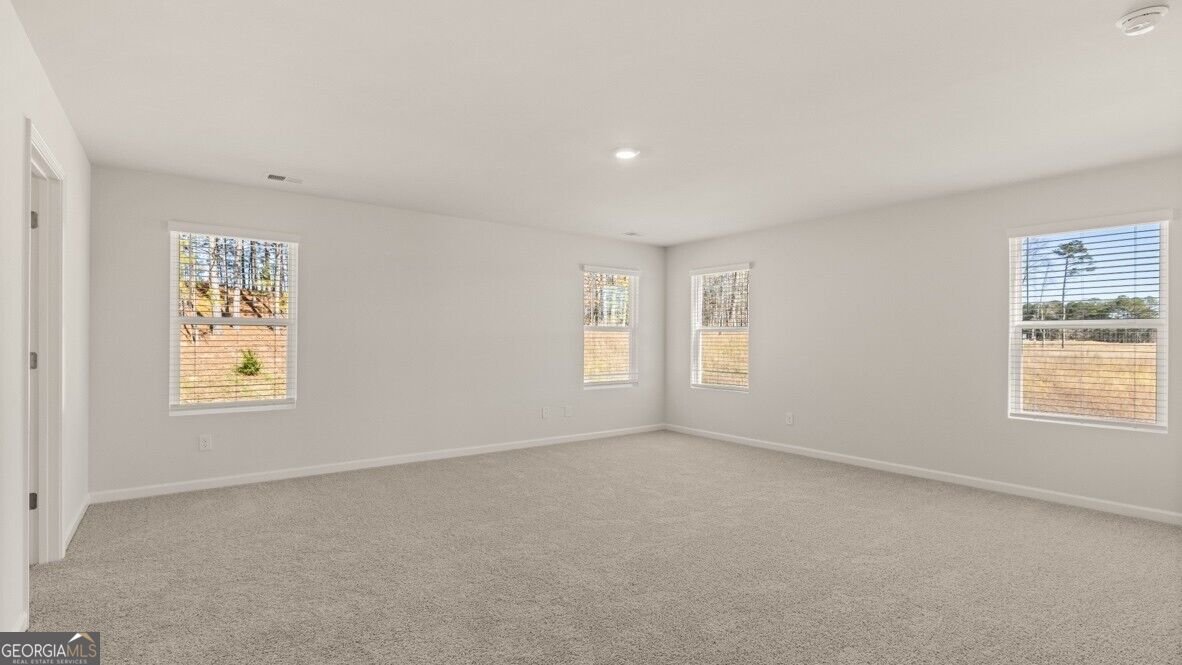 312 Duckweed Drive Villa Rica - Photo 17