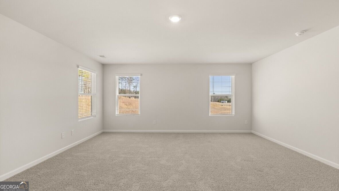 312 Duckweed Drive Villa Rica - Photo 18