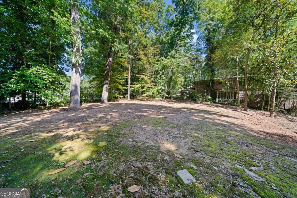 1066 Mcconnell Drive Decatur - Photo 51