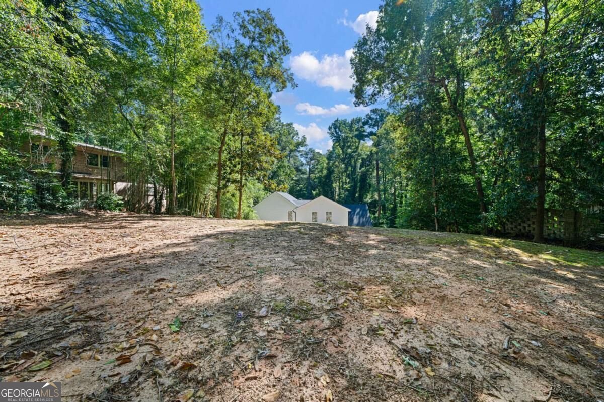1066 Mcconnell Drive Decatur - Photo 56