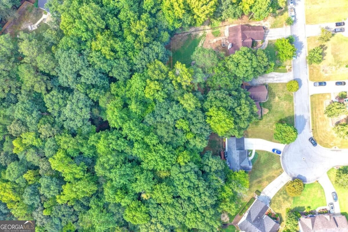 3079 Sweetbriar Walk Snellville - Photo 65