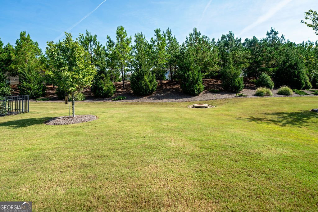 252 Silver Maple Court Peachtree City - Photo 23