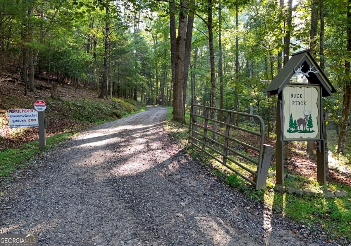 344 Buck Ridge Road Suches - Photo 49