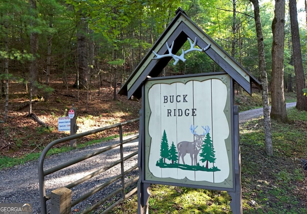 344 Buck Ridge Road Suches - Photo 50