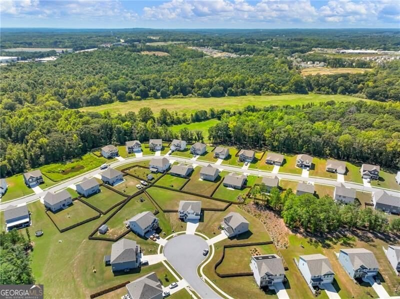 868 Baker View Lane Braselton - Photo 80