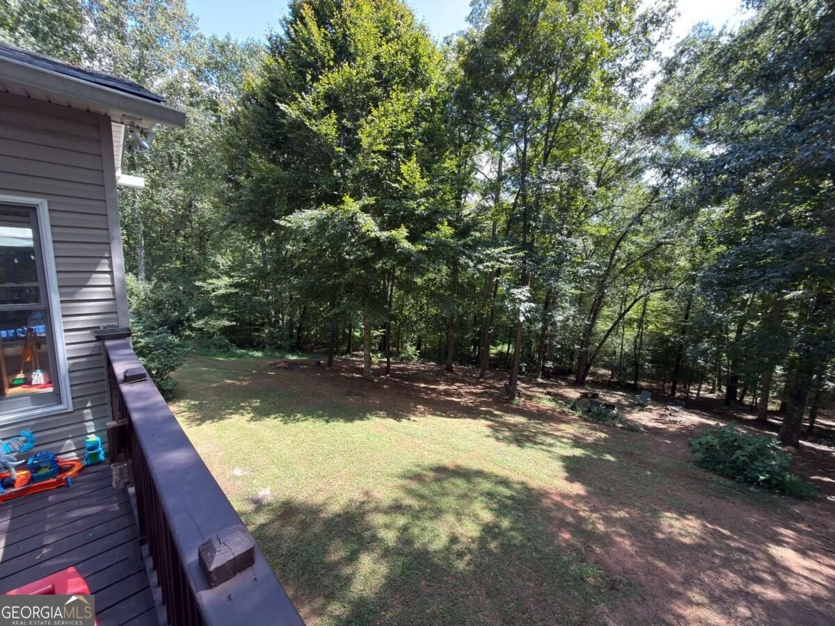 399 Grindstone Creek Drive Clarkesville - Photo 44