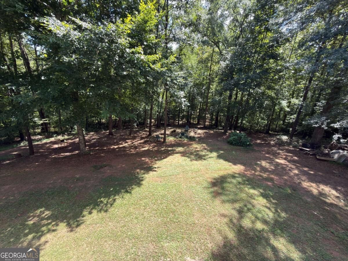 399 Grindstone Creek Drive Clarkesville - Photo 45