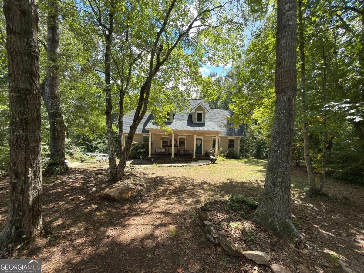 399 Grindstone Creek Drive Clarkesville - Photo 46
