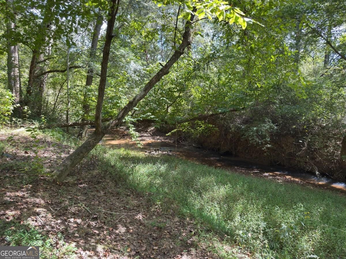 399 Grindstone Creek Drive Clarkesville - Photo 57