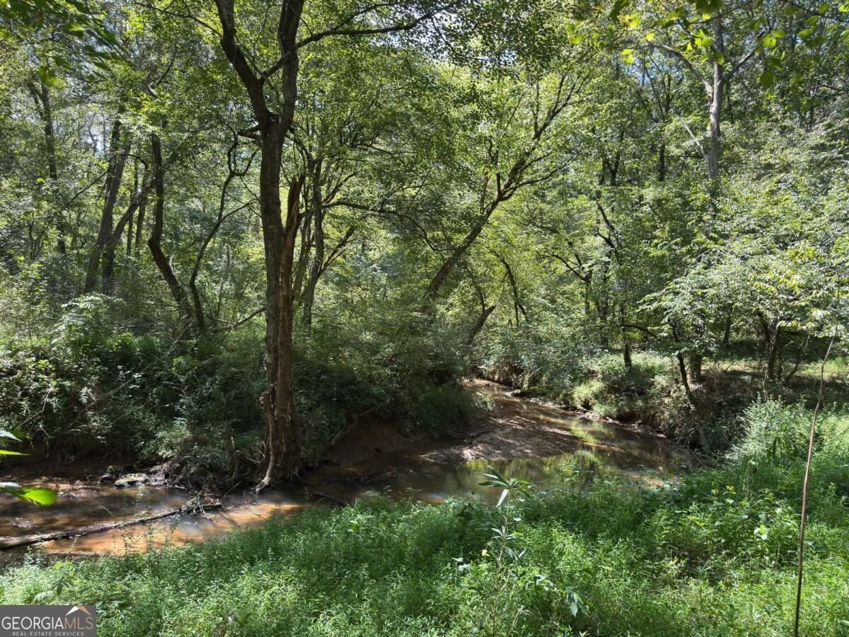 399 Grindstone Creek Drive Clarkesville - Photo 58