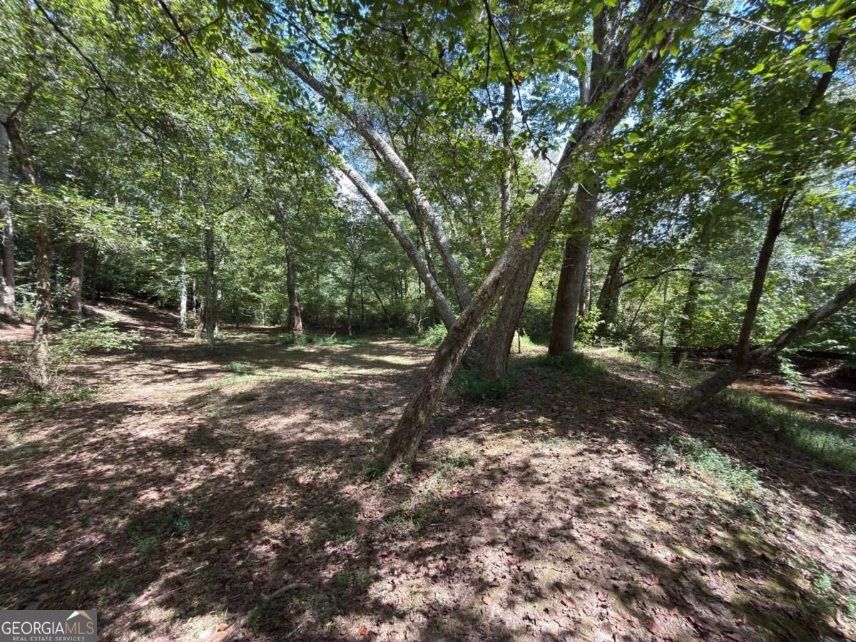 399 Grindstone Creek Drive Clarkesville - Photo 59