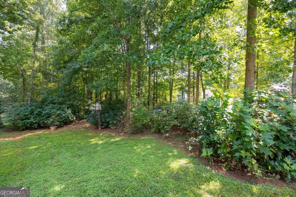 462 Whitby Drive Douglasville - Photo 35