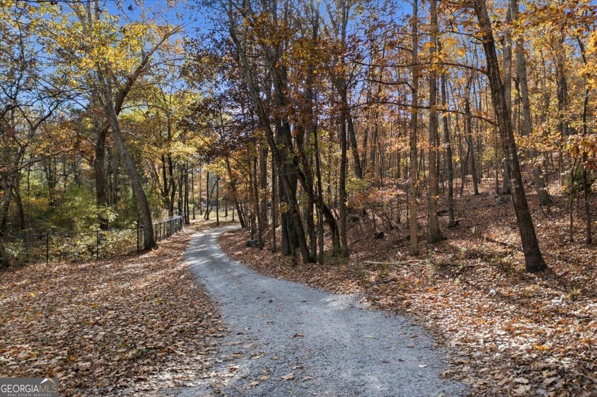 938 Marion Dairy Road Lindale - Photo 42