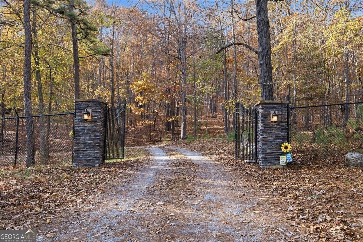 938 Marion Dairy Road Lindale - Photo 43