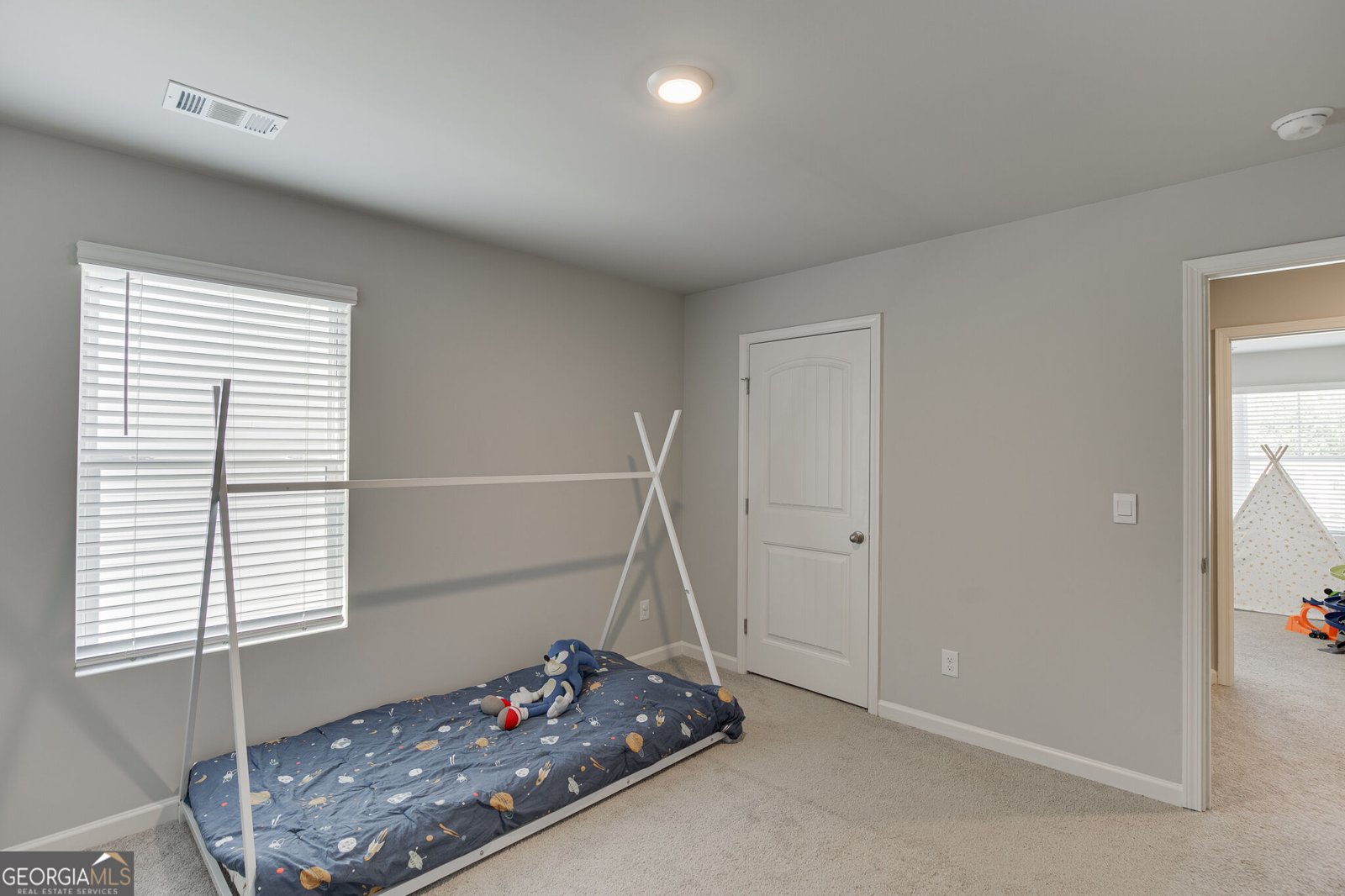 6078 Trumpet Flower Avenue Flowery Branch - Photo 30