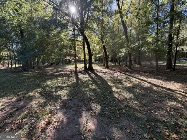 166 Collins Milledgeville - Photo 40