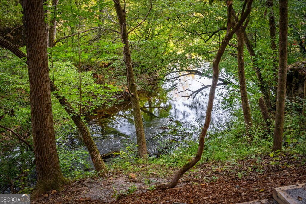 66 Woodland Trail Epworth - Photo 85