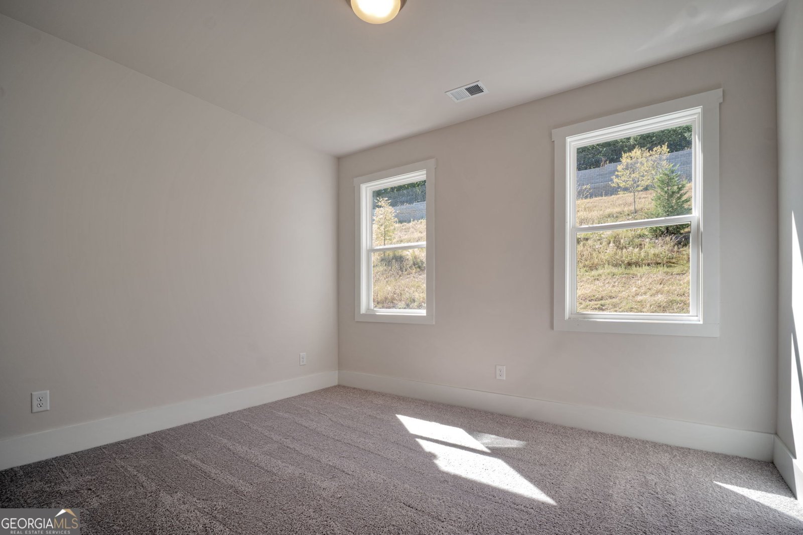317 Willow Cove Canton - Photo 22