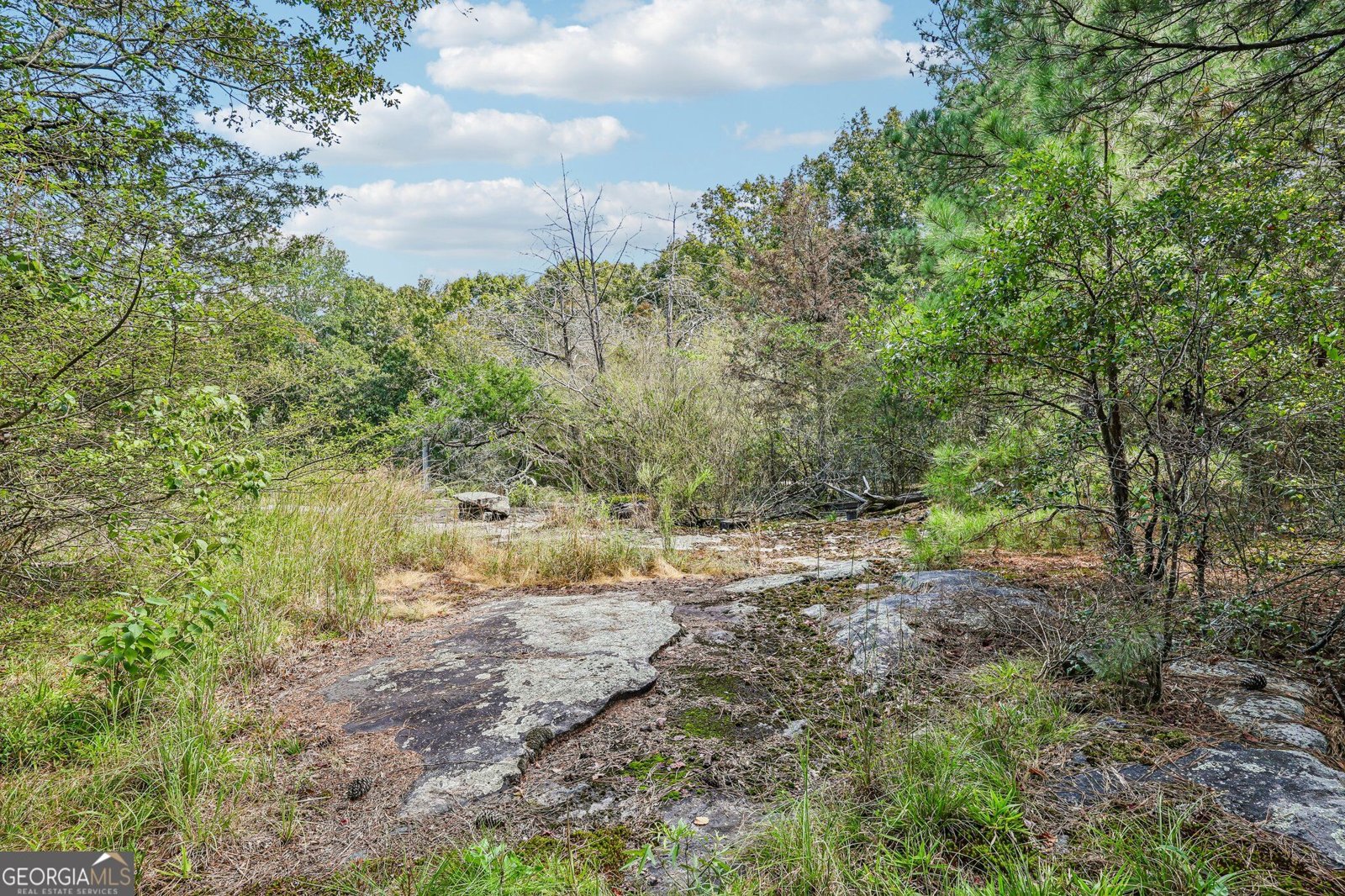 8791 Pleasant Hill Road Lithonia - Photo 38