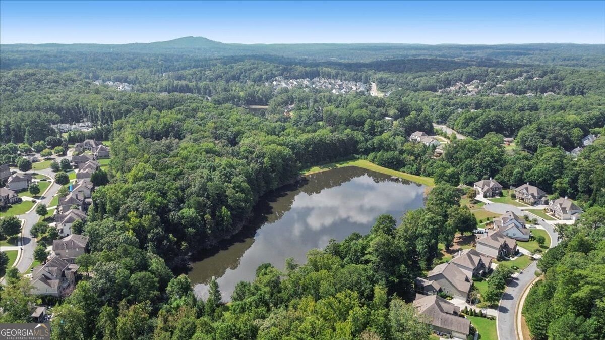 3650 Davidson Farm Drive Kennesaw - Photo 104