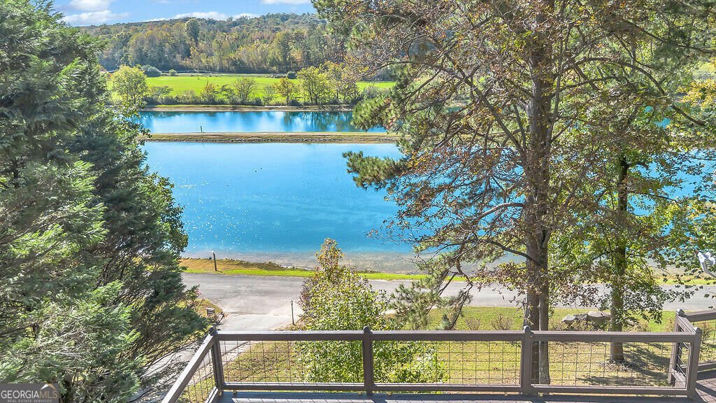 357 Johns Way Way Talking Rock - Photo 49
