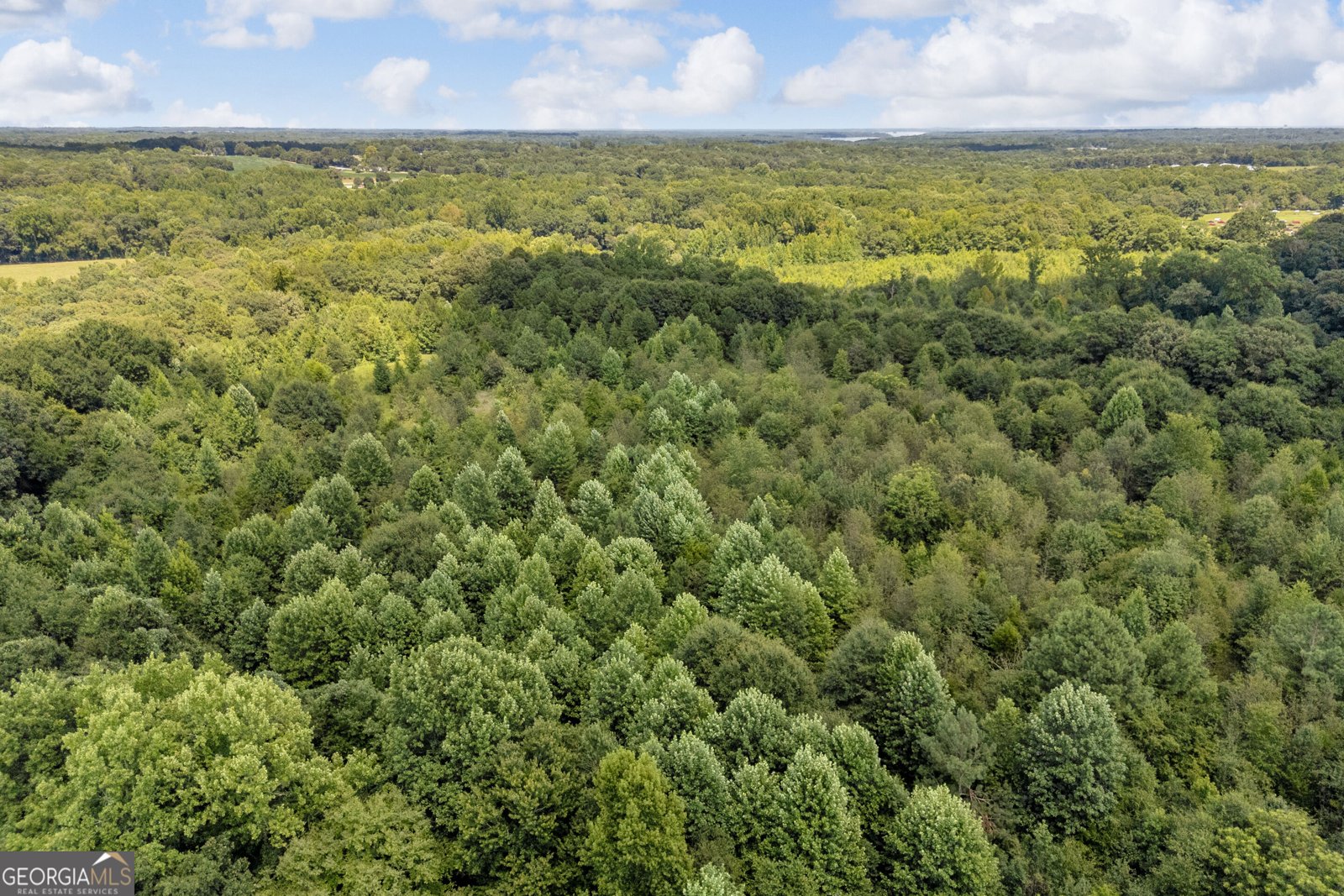 3894 Bowersville Highway Bowersville - Photo 23