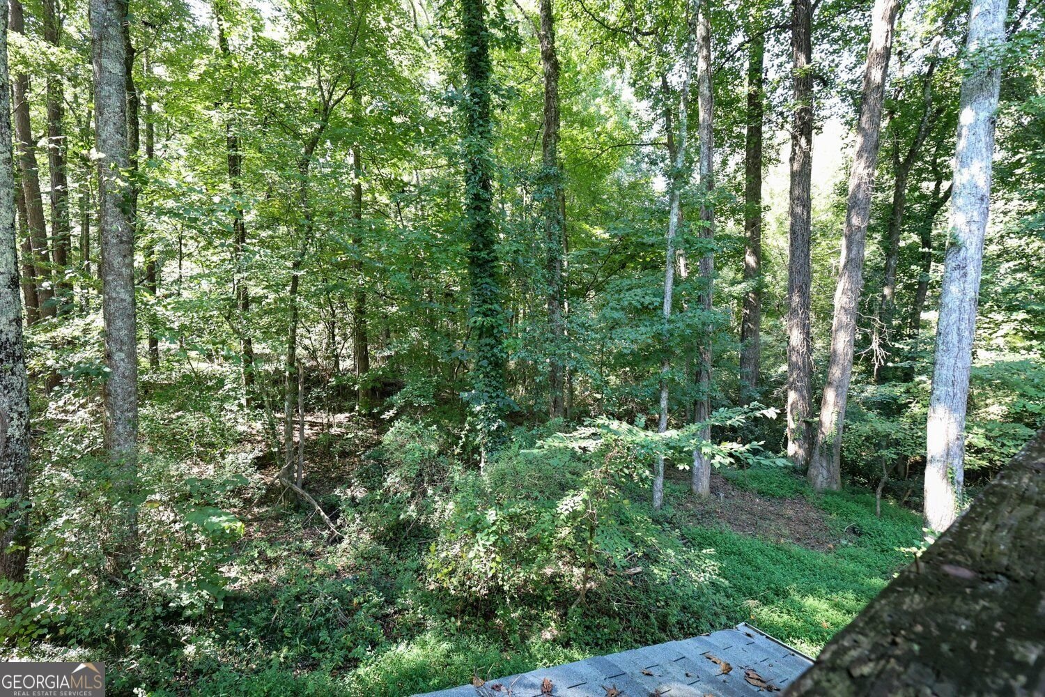 7135 Williamsburg Drive Riverdale - Photo 34