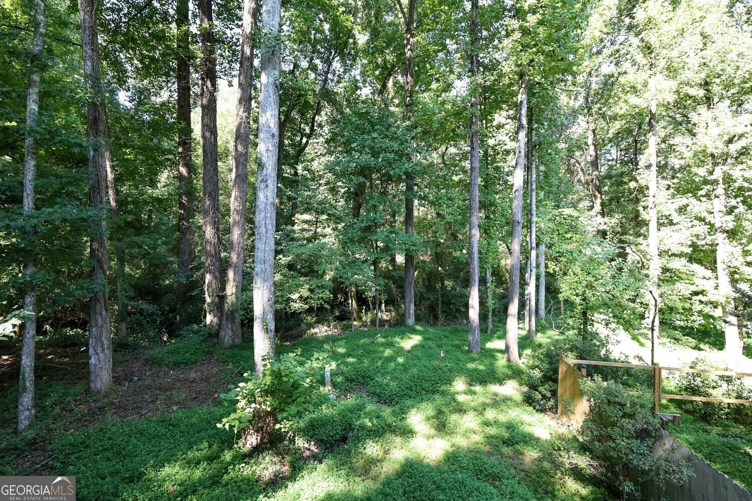 7135 Williamsburg Drive Riverdale - Photo 37