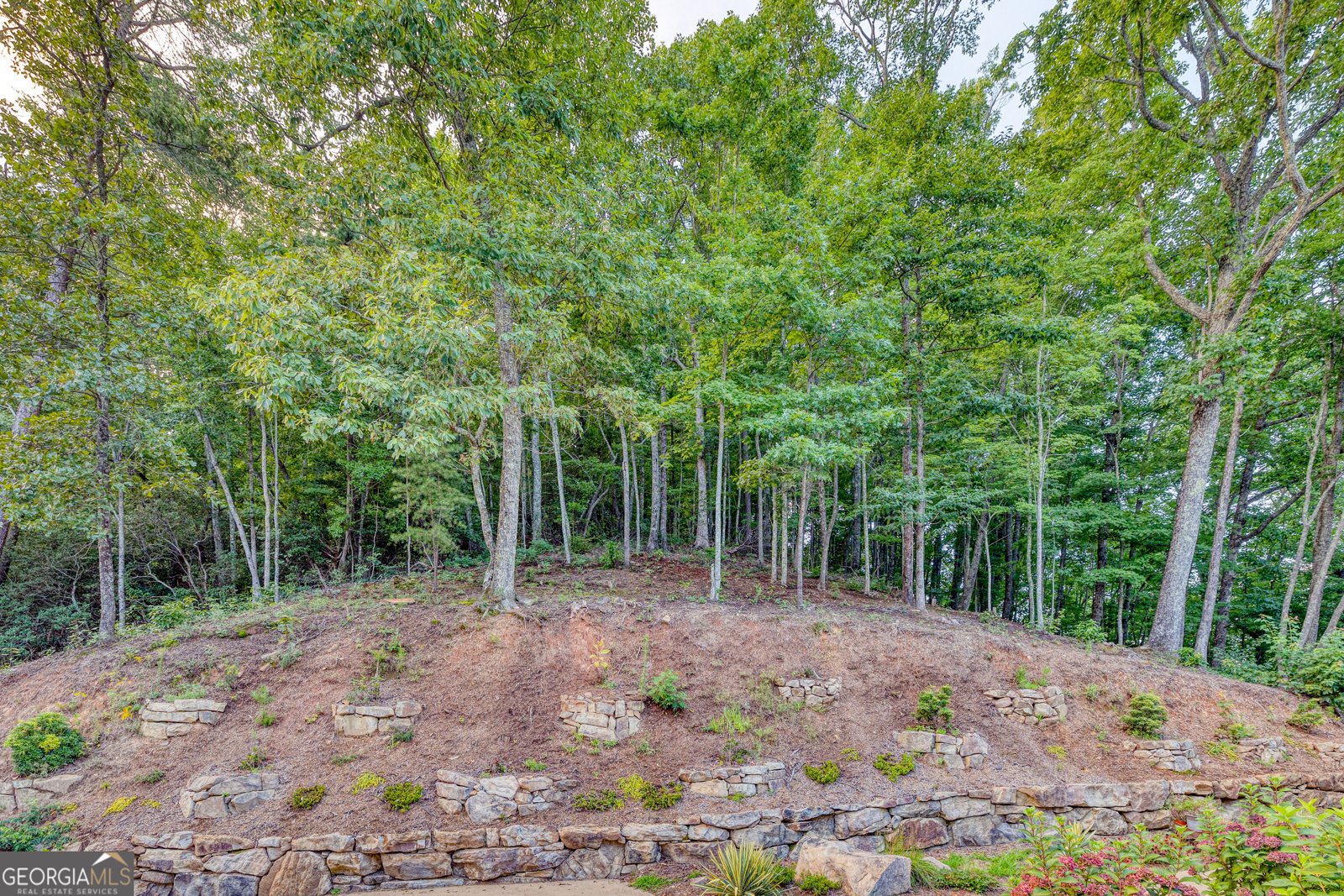 280 Point Of View Road Blue Ridge - Photo 62