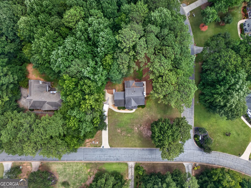 60 Tyler Woods Drive Sharpsburg - Photo 67