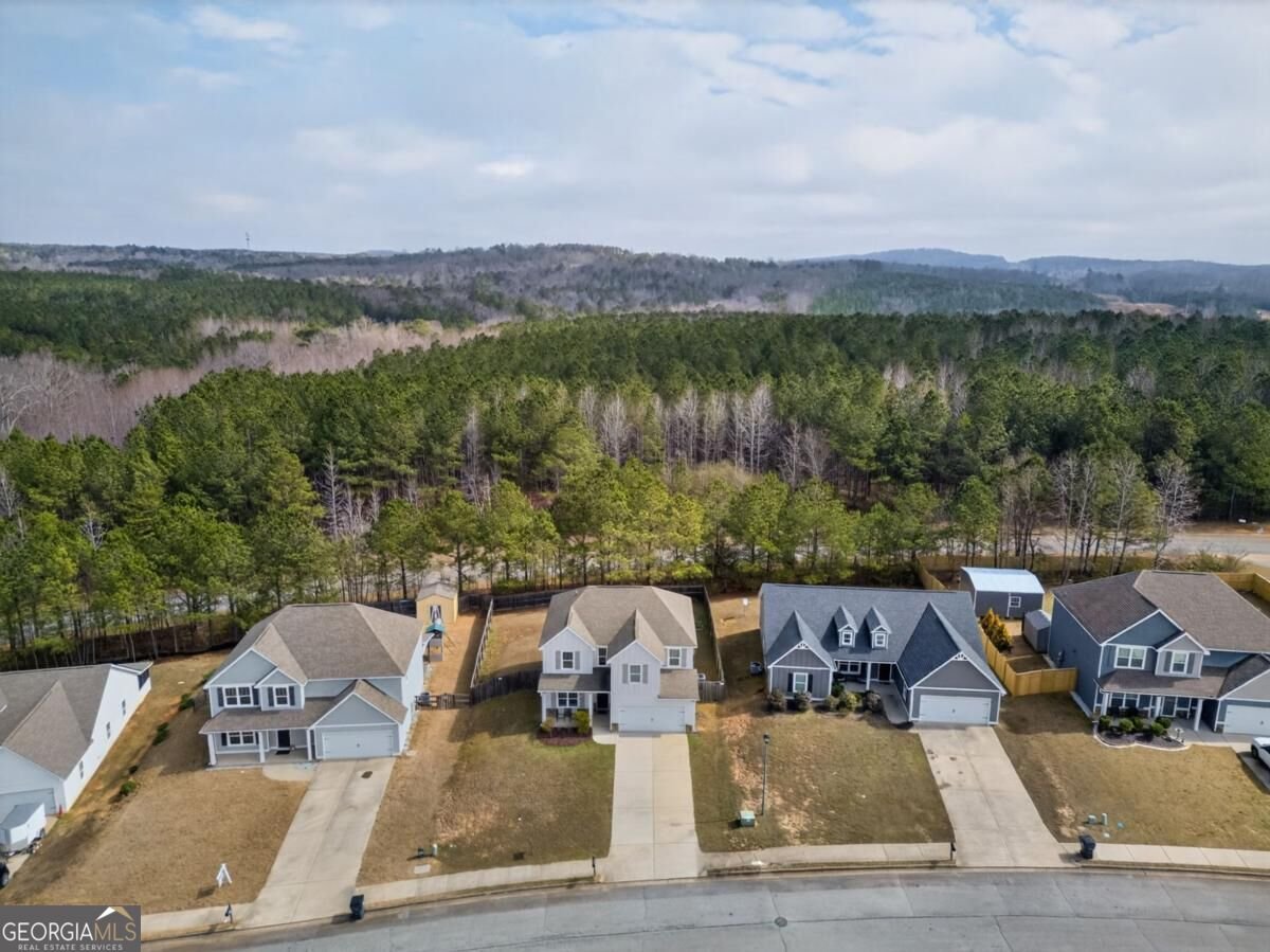 338 Springwater Way Bremen - Photo 17