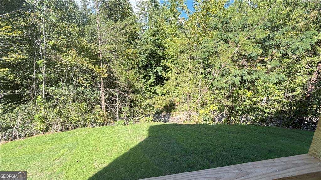610 Bald Ridge Circle Demorest - Photo 44
