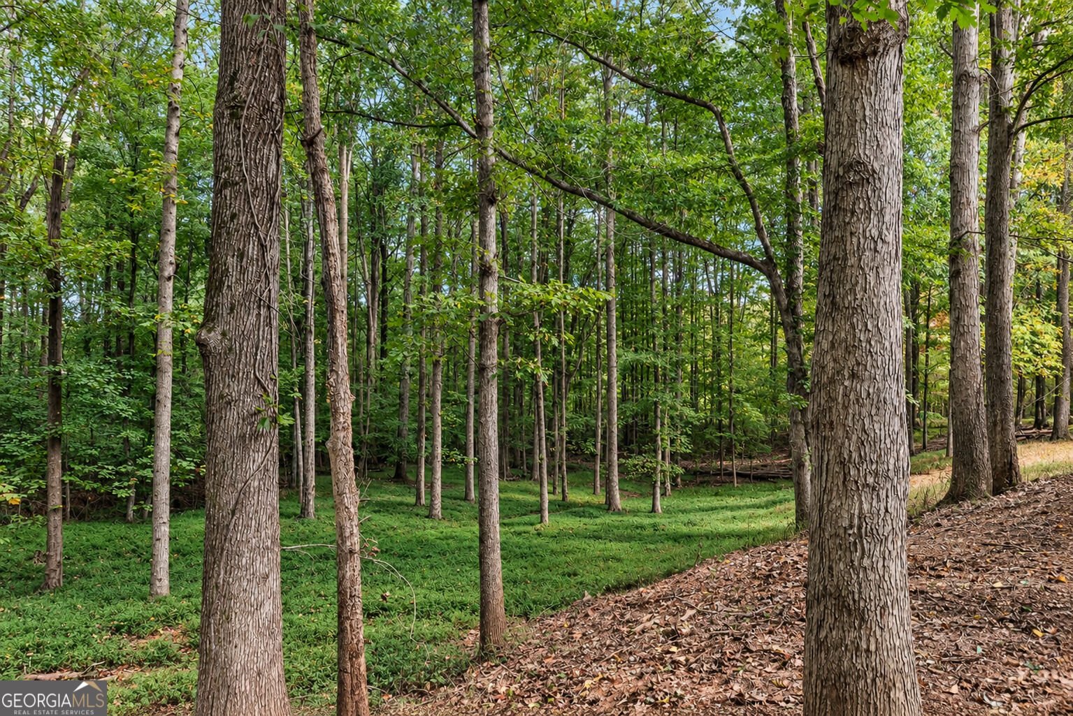 115 Rock Quarry Dr Danielsville - Photo 22