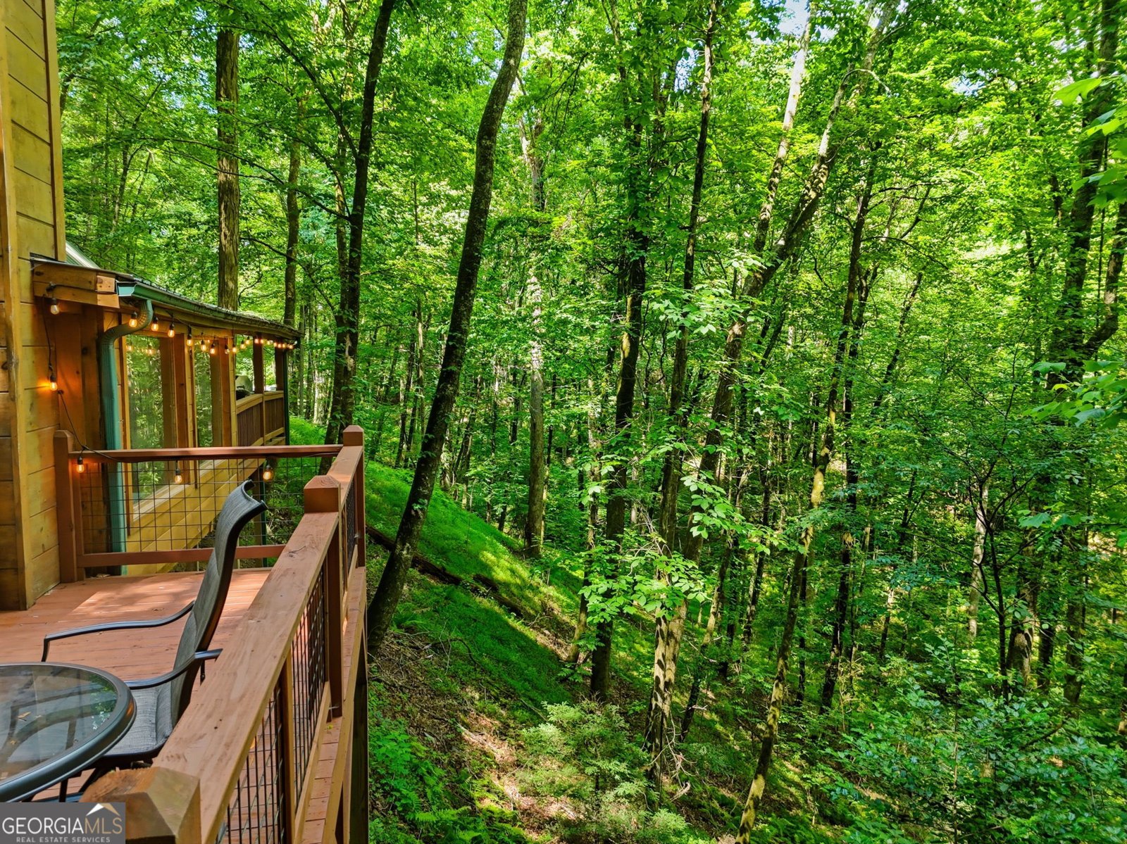 329 Laurel Ridge Drive Blue Ridge - Photo 22