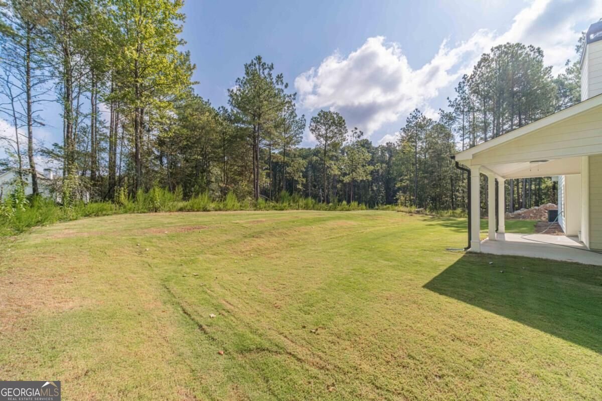 857 Bessie Court Loganville - Photo 40