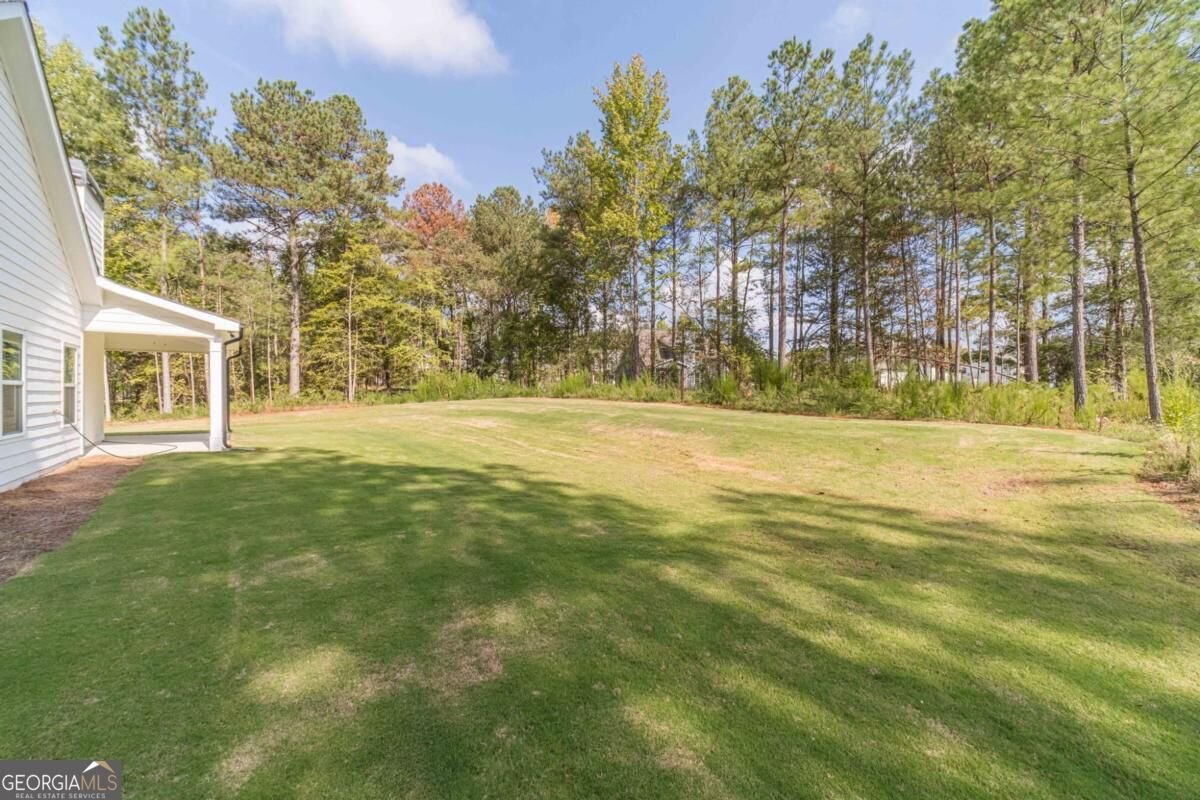 857 Bessie Court Loganville - Photo 44