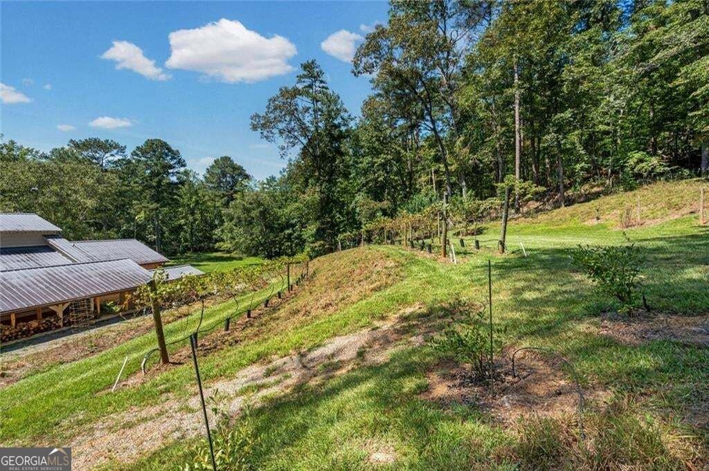 25 Clayton Chester Road Dawsonville - Photo 50